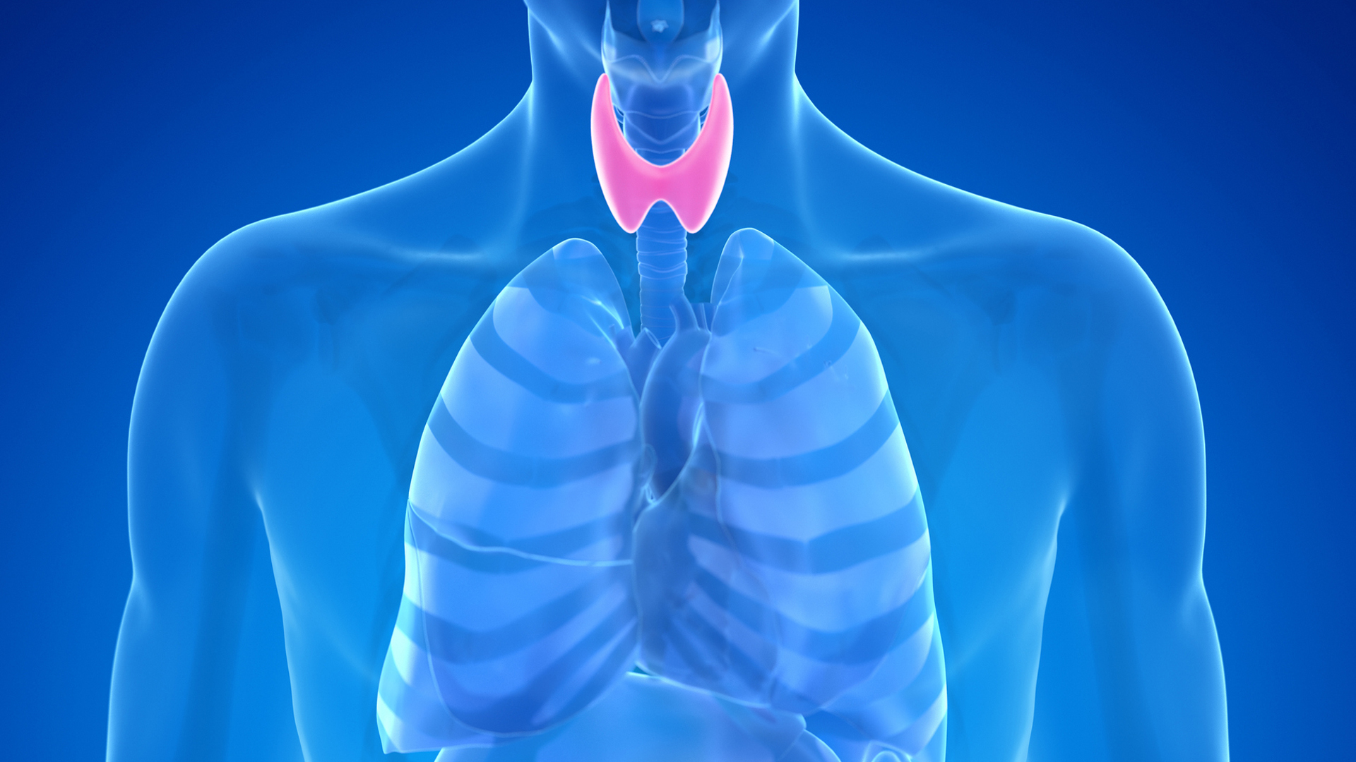 thyroid test