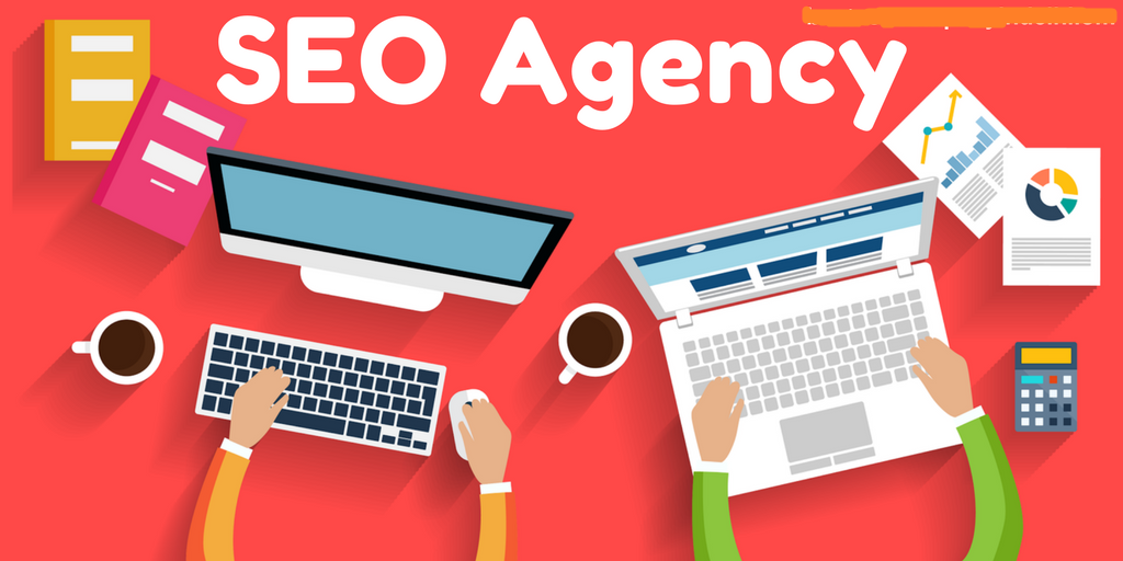 Beyond Rankings: How an SEO Agency Can Help Education Companies Achieve Business Objectives