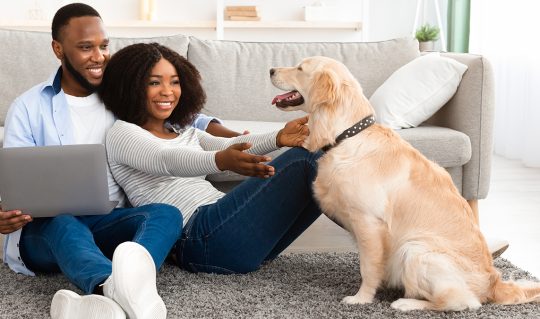 The Enduring Importance of Pet Care: Nurturing Companionship, Health, and Happiness