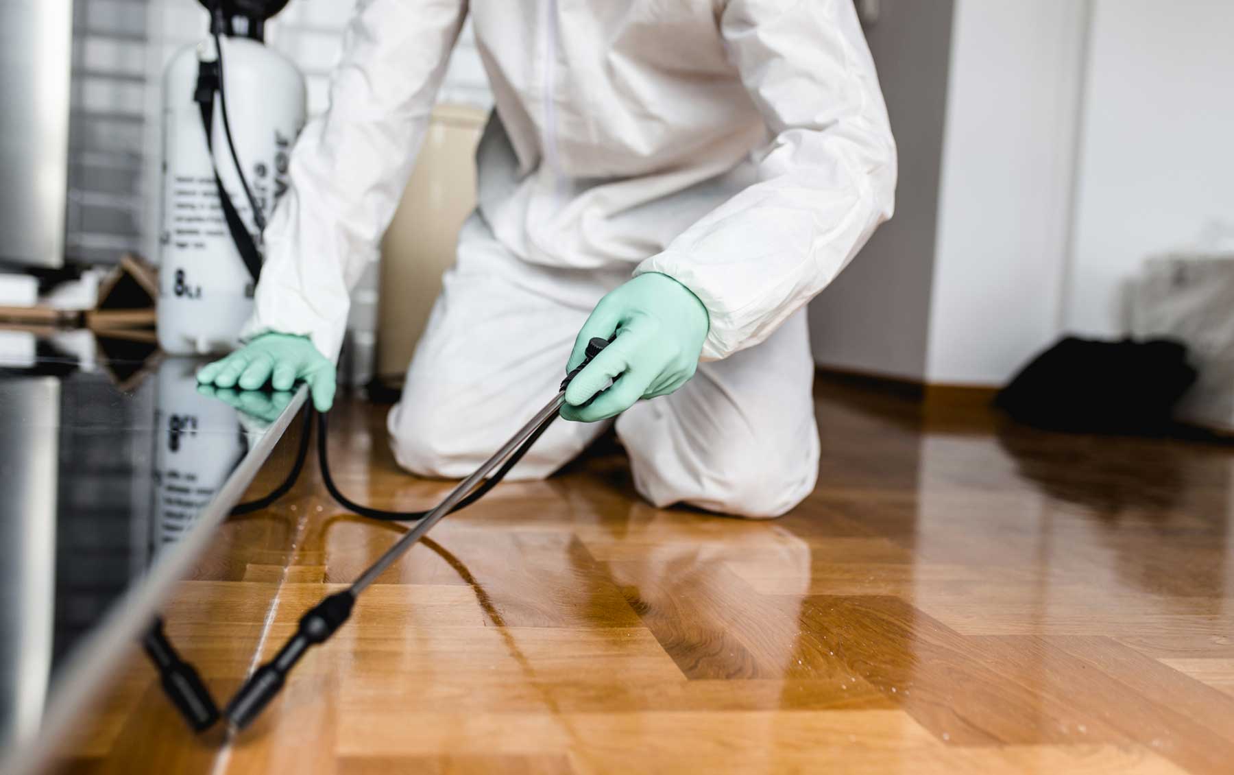 The Crucial Benefits of Pest Control Services in the UK